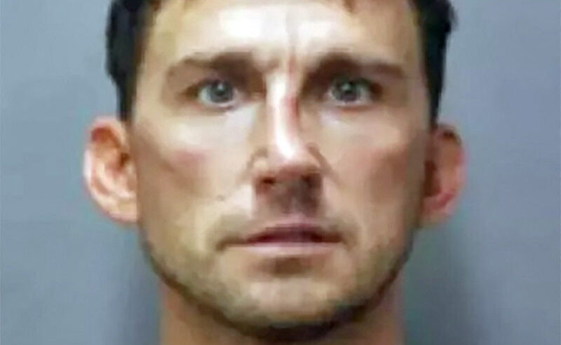 Tesla road-rager sentenced to seven years in prison after attacking mom ...