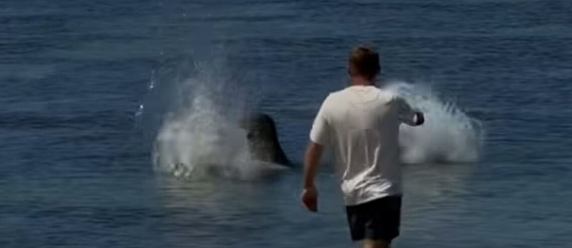 Hawaiian hailed a hero for beating entitled tourist caught hurling rock ...
